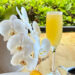 Weekend Brunch in Kona & Hilo — New Menu, $5 Mimosas